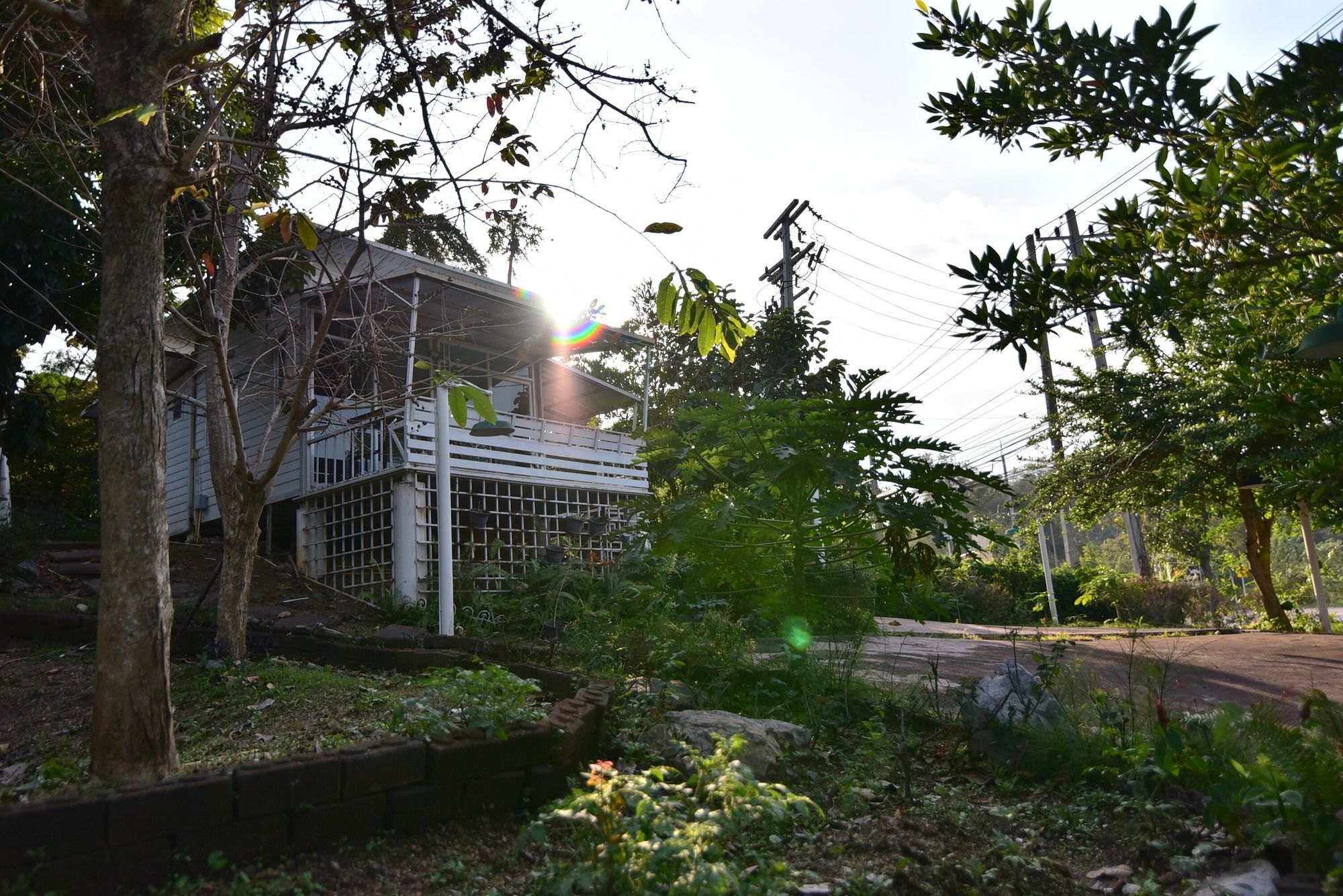 Bambusa Nakhonratchasima Exteriör bild